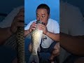 Amazing Night Fishing Catch 🎣 | Incredible Fish Hunting in Shallow Water