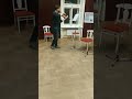 sibelius symphony no.3 orchestra except