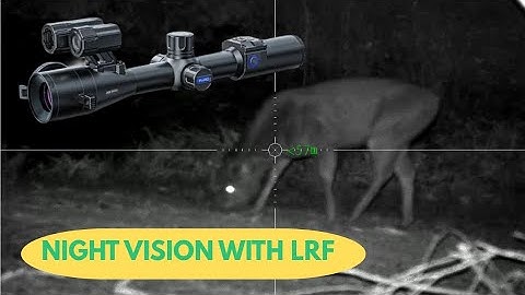 PARD DS35-70 NIGHT VISION: SAMBAR DEER