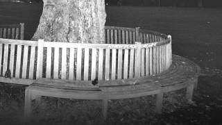 Watch Archy Marshall Dull Boys video