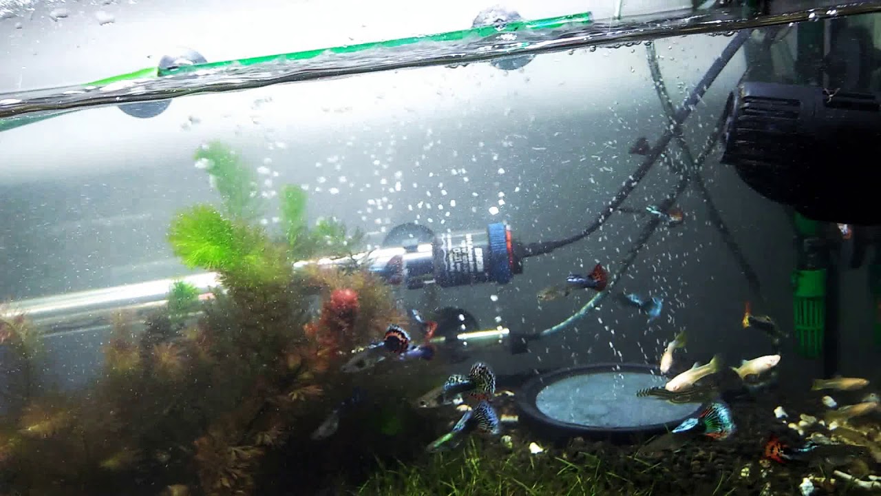 A quick look at how the twinstar Yotta.