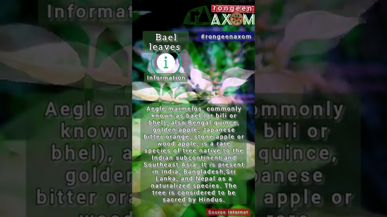 Bael leaves Benifits