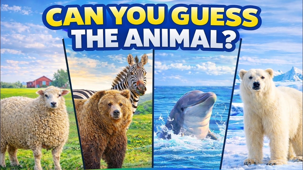 Ultimate Animal Quiz for Kids | Farm, Jungle, Ocean & Polar Regions