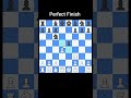 Perfect Checkmate ♟️ Brilliant Chess Finish! #shorts  #ytshorts  #chess  #checkmate
