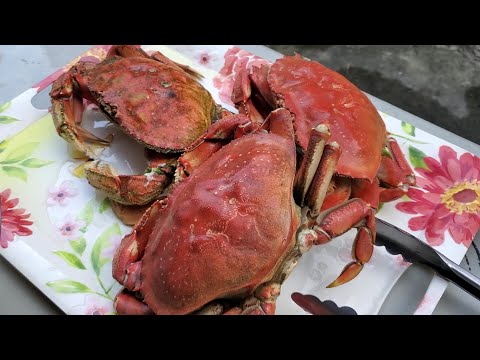 Crab fishing in Washington Bay, USA