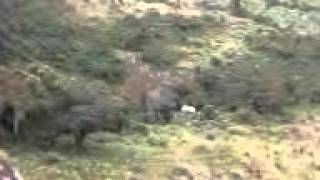 kajunaBUGONZI WATER FALL