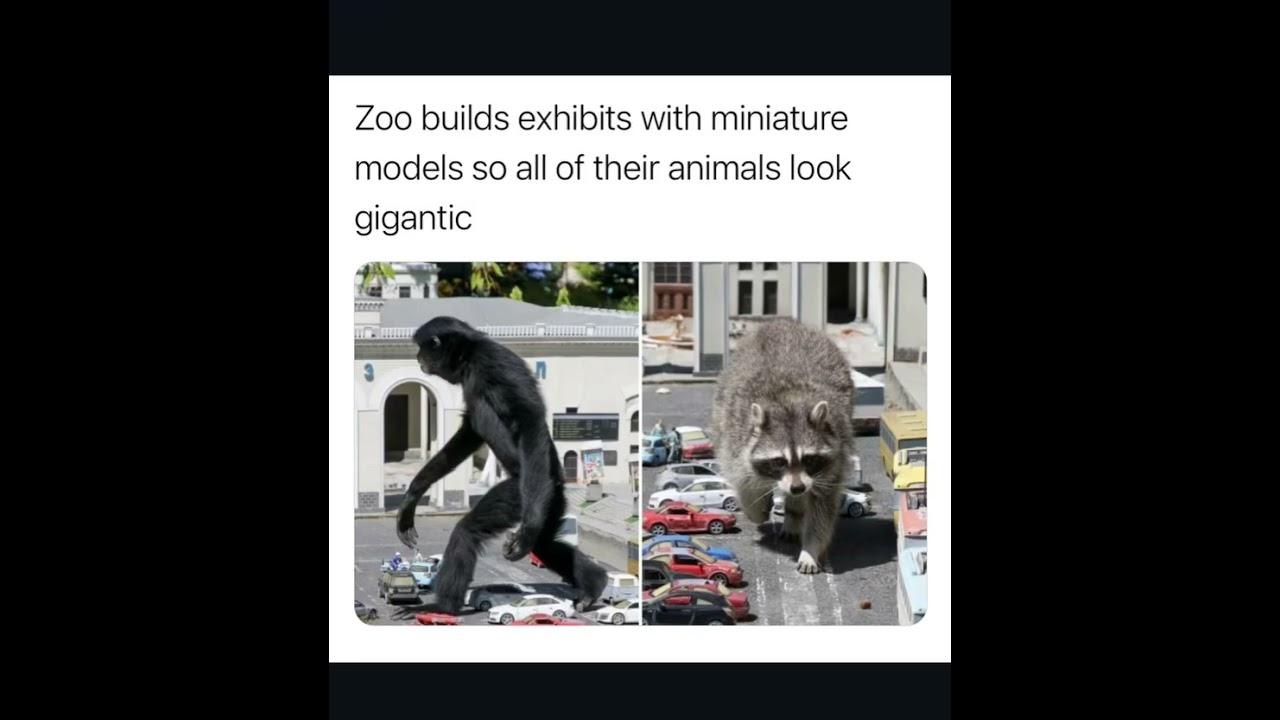 Thats actually hilarious zoo keeping