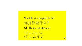 learn chinese in urdu language lesson 5 screenshot 5