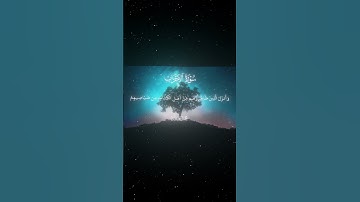 سورة الأحزاب|25-27|القارئ:#محمد_اللحيدان #قران #quran #راحة_نفسية #قران_كريم#تلاوة_هادئة#تلاوة_خاشعة