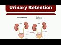 Chapter 6 Urinary Retention Medical Surgical Nursing الباب السادس تمريض باطنة و جراحة