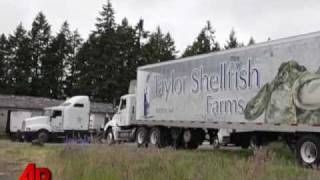 Video Essay: Aw Shucks, Oyster Farmers Get Help