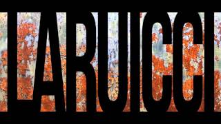 LARUICCI SPRING 15