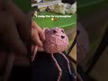 I’m learning Crocheting 🧶