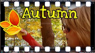 Autumn Leaves 🍂 - Learn English - Intermediate Level - Hojas De Otoño - Vlogging