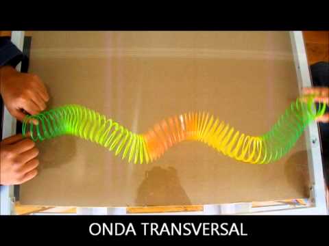 Video: ¿Las ondas en el agua son transversales o longitudinales?