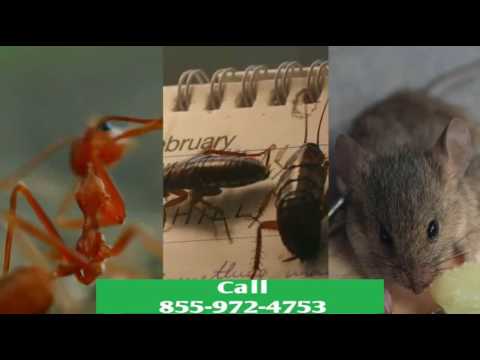Pest Control Monterey - Exterminators Va 24465