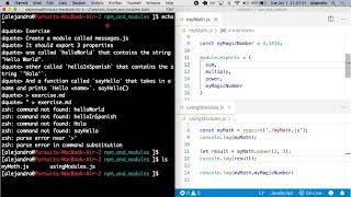 FSW 6.2 NPM & Node Modules
