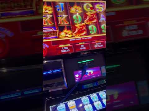 隆Si nos parecemos! 馃き馃惐馃幇 #Shorts #FUN88 #gato #Slots