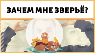 Чем домашние животные полезны человеку? Почему домашние животные похожи на хозяев? ИДЕАЛ-метод Тойча