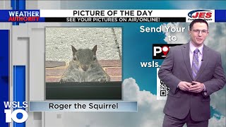 Feb. 2, 2024 Picture of the Day
