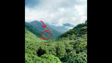 real strawberry elephant spotted 😱😱 #anoanowillkum #onandon #strawberry #elephant #real