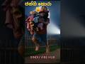 ජන්ගි හොරා 🤣 | Jangi Hora new song 2026 | comedy song #sindu #srilanka #srilankanmusic