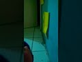 13 de janeiro de 2023