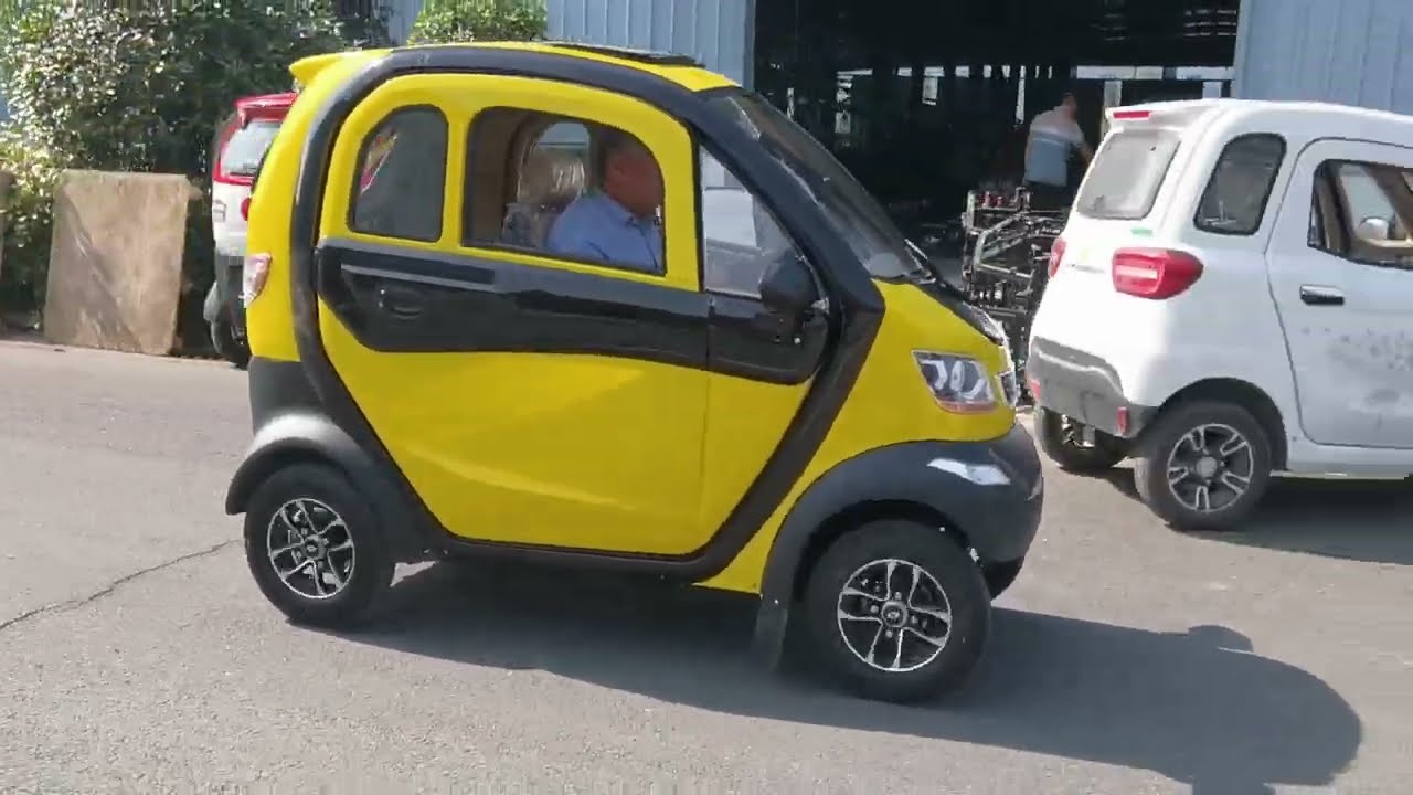 Mini Electric Car