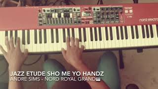 Video-Miniaturansicht von „Nord Sound Samples with Andre Sims“