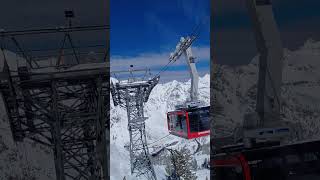 Snowbird