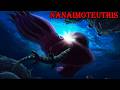 Nanaimoteuthis