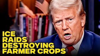 Farmers Say Crops Are Rotting In Their Fields After ICE Raids
