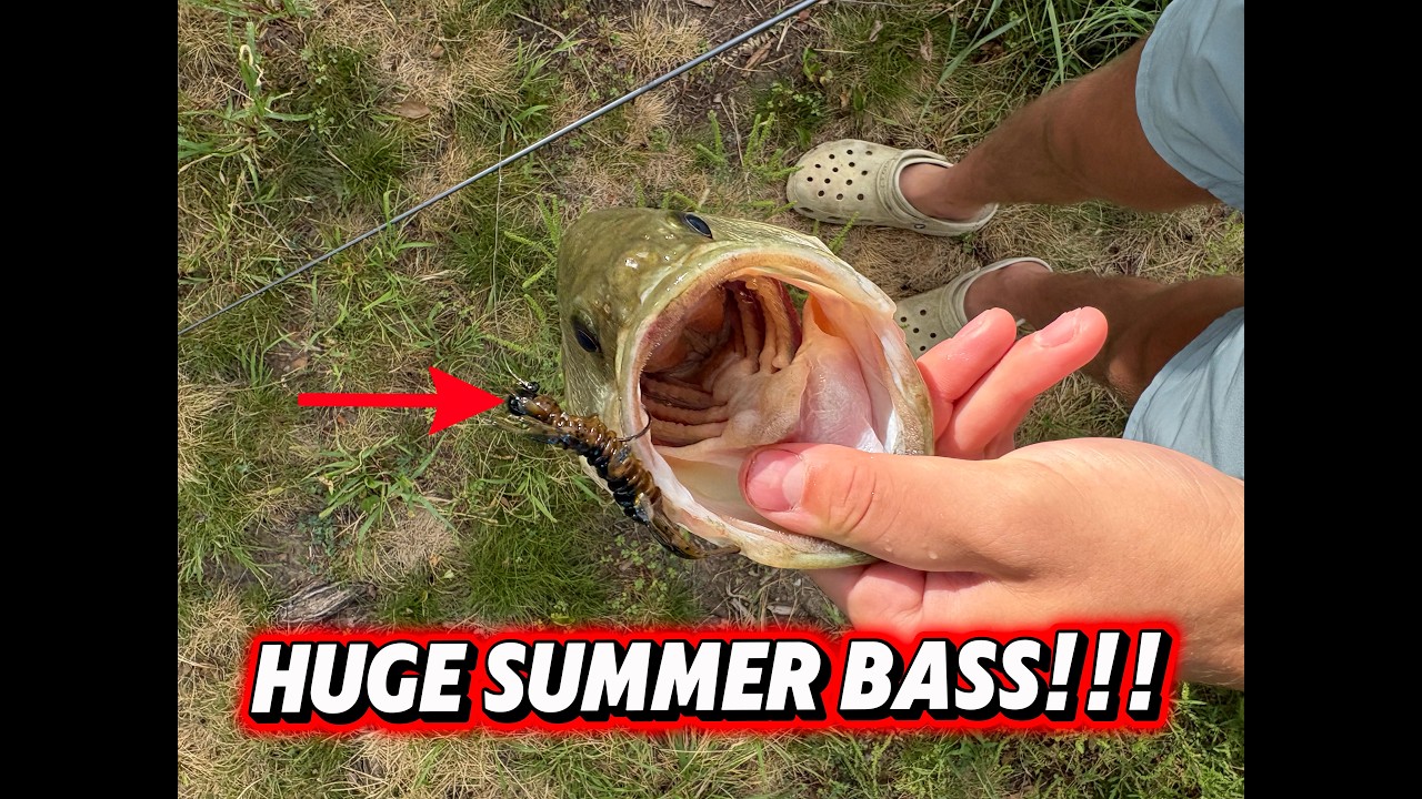 Fishing for HUGE Pond Bass(LOTS OF BIG FISH)