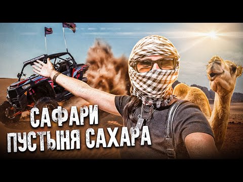 ЭКСКУРСИИ В ЕГИПТЕ ? ПУСТЫНЯ САХАРА ? на БАГГИ ? ЭКСКУРСИИ В ШАРМ-ЭЛЬ-ШЕЙХЕ ✈️ #египет