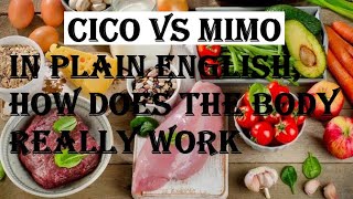 CICO vs MIMO - In plain English, how does the body really work?