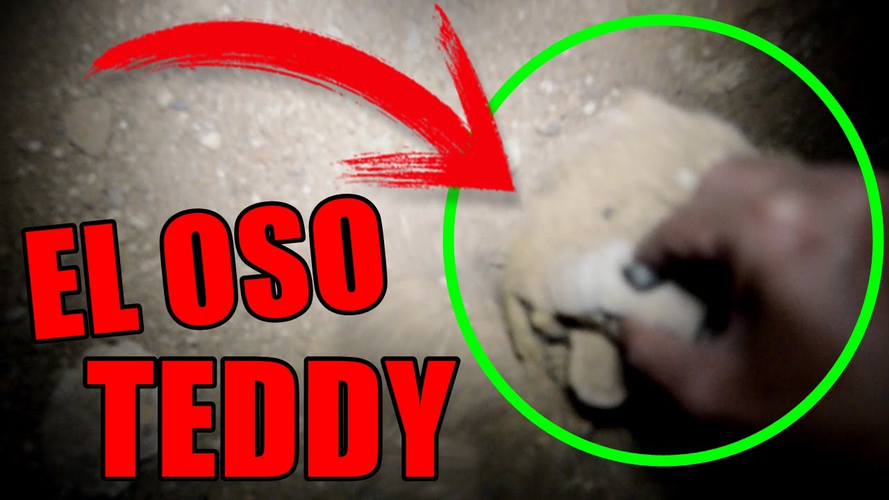VOY AL BARRANCO MISTERIOSO EN BUSCA DEL OSO TEDDY camera iphone 8 plus apk