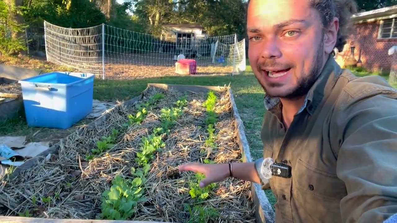 Как почвенная биология превращает грязь в живую почву