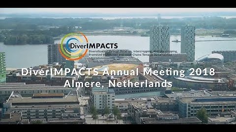DiverIMPACTS Annual Meeting 2018