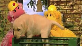 Softies In Barking Mad