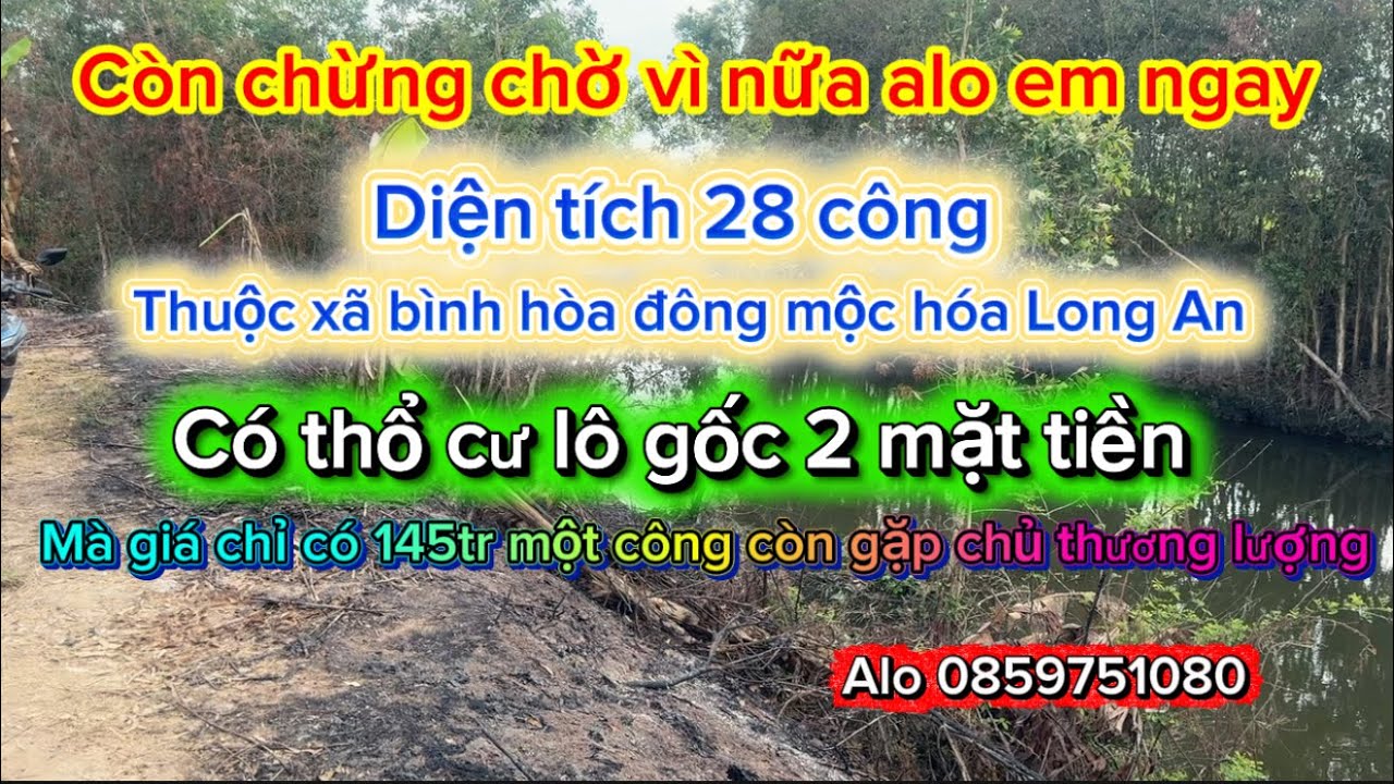 Quá đẹp luôn đây ạ 28 công tại xã mộc hóa tỉnh Long An có thổ cư khu vực trồng cây lh0859751080