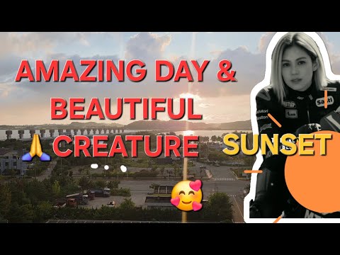 Shortvideo in the beautiful sunset 🇰🇷💕#shortvideo #korea #greatful #best #thankyou #sunset #nice