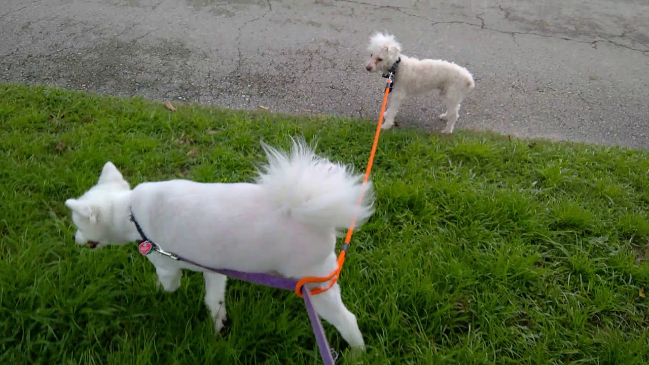 Are you ready for Irma-geddon?