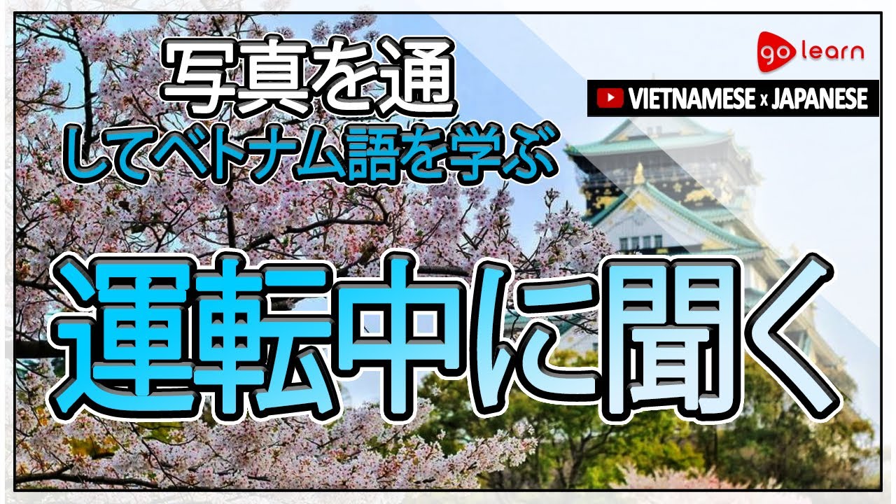 写真を通してベトナム語を学ぶ|ベトナム語の語彙運転中に聞く