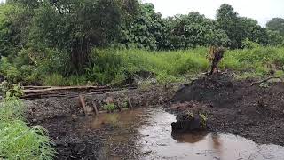 SUASANA SAAT HUJAN DAN ALHAMDULILLAH LISTRIK SUDAH YALA 