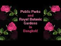 Public Parks and Royal Botanic Gardens in Bangkok! 