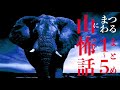 【怪談】山にまつわる怖い話まとめ1~5【朗読】「夜の山は人を飲み込む」ほか15話