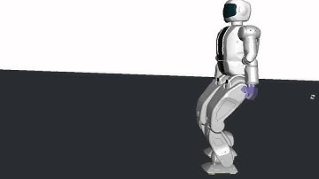 Hubo walking simulation in OpenRave