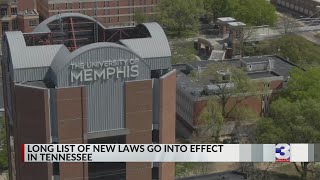 Gun laws, bail reform, drag racing: New TN laws go into effect on July 1