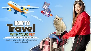 Flying with Pet: A Complete Guide on How to Travel with Your Pet by Plane