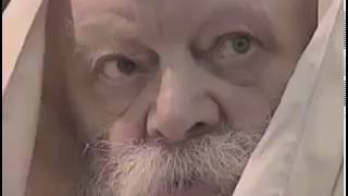 Windows To The Soul - The Rebbe